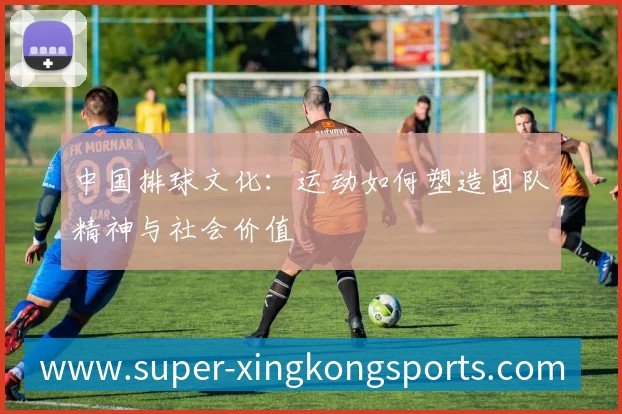 中国排球文化:运动如何塑造团队精神与社会价值