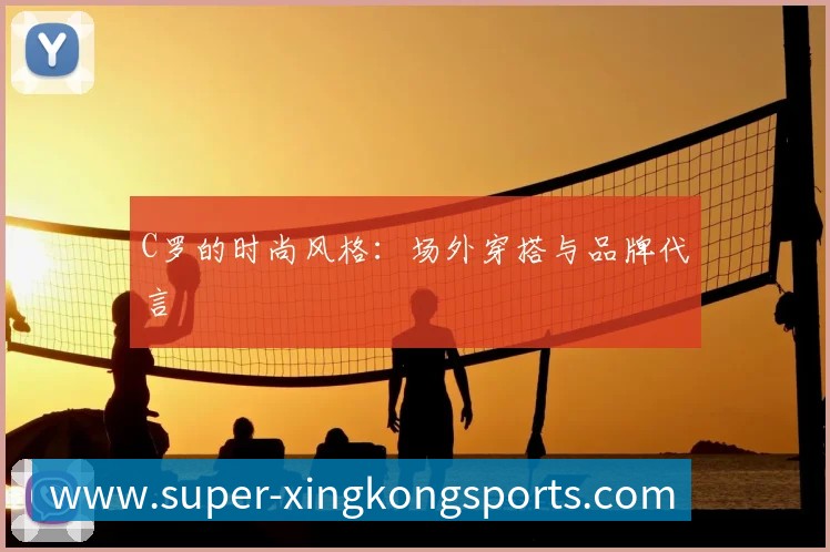 中国排球联赛观赛指南：赛程与球队介绍